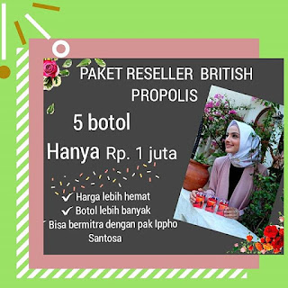 Bagaimana Menjadi Mitra Mas Ippho Santosa dan Menjalankan Bisnis British Propolis