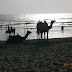 Kashid Beach in Maharashtra