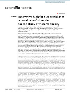Innovative high fat diet establishes a novel zebrafish model for the study of visceral obesity