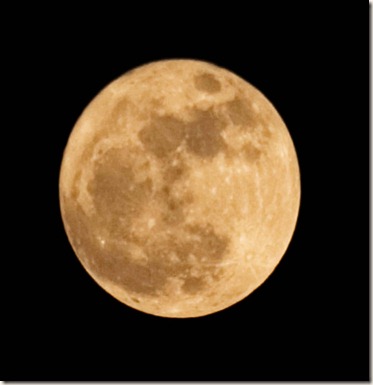 moon-1