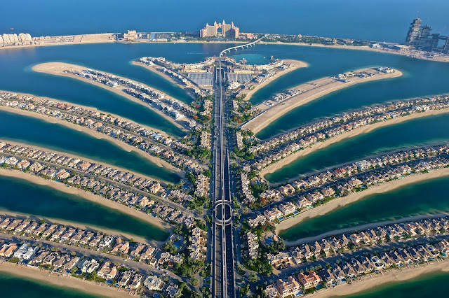 La vista de la palmera. La vista de la palmera.