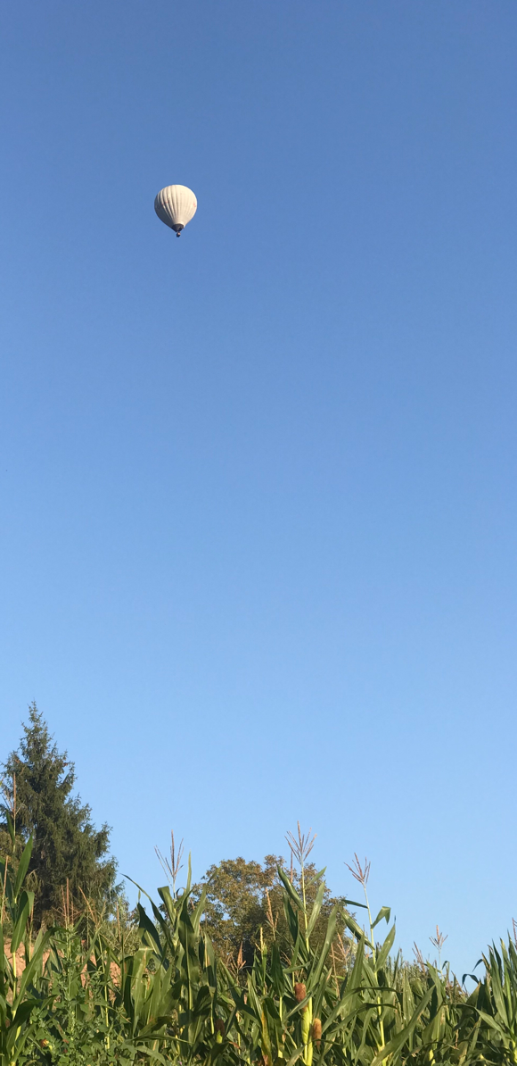 hot air balloon rising