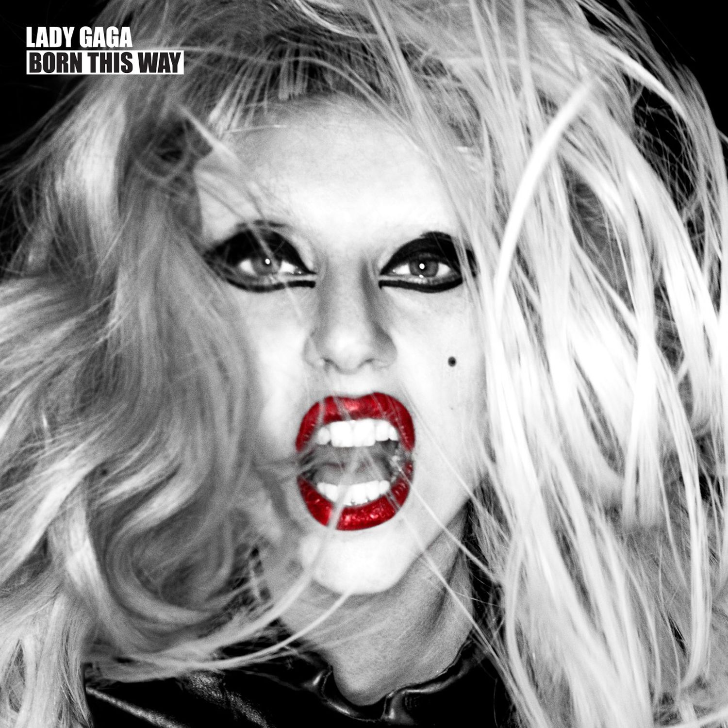 lady gaga album cover