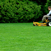 Reasons Many People Invest in Professional Lawn Maintenance Service 