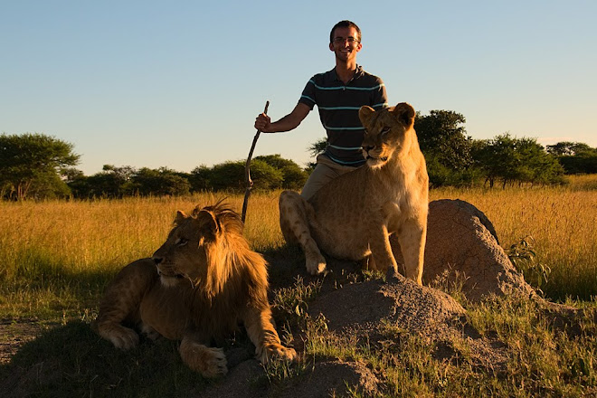 Posing with lions, Antelope Park, near Gweru, Zimbabwe