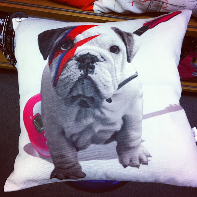 Bulldog cushions