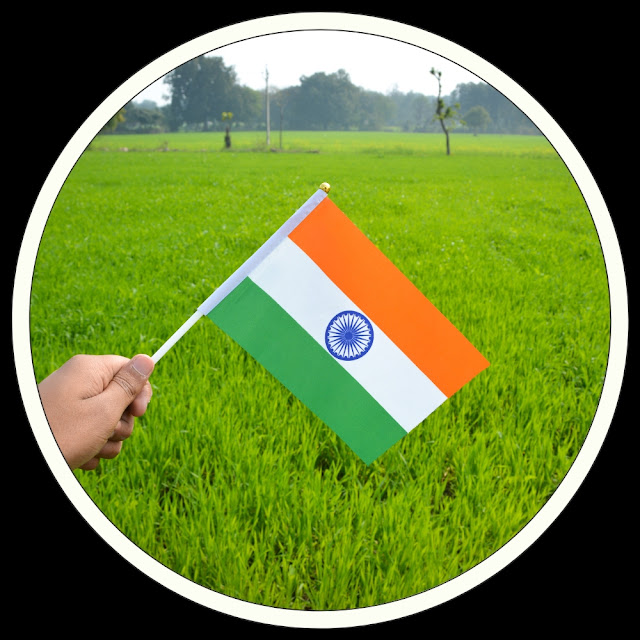 Indian Flag DP Download