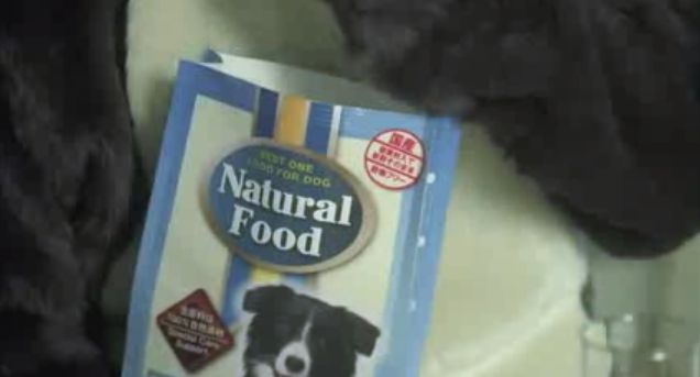 Cm Search Cmサーチ 織田裕二が犬の格好をさせられ ドッグフードを食べさせられる醜態を披露 Cm Search Cmサーチ 織田裕二が犬の格好をさせられ ドッグフードを食べさせられる醜態を披露