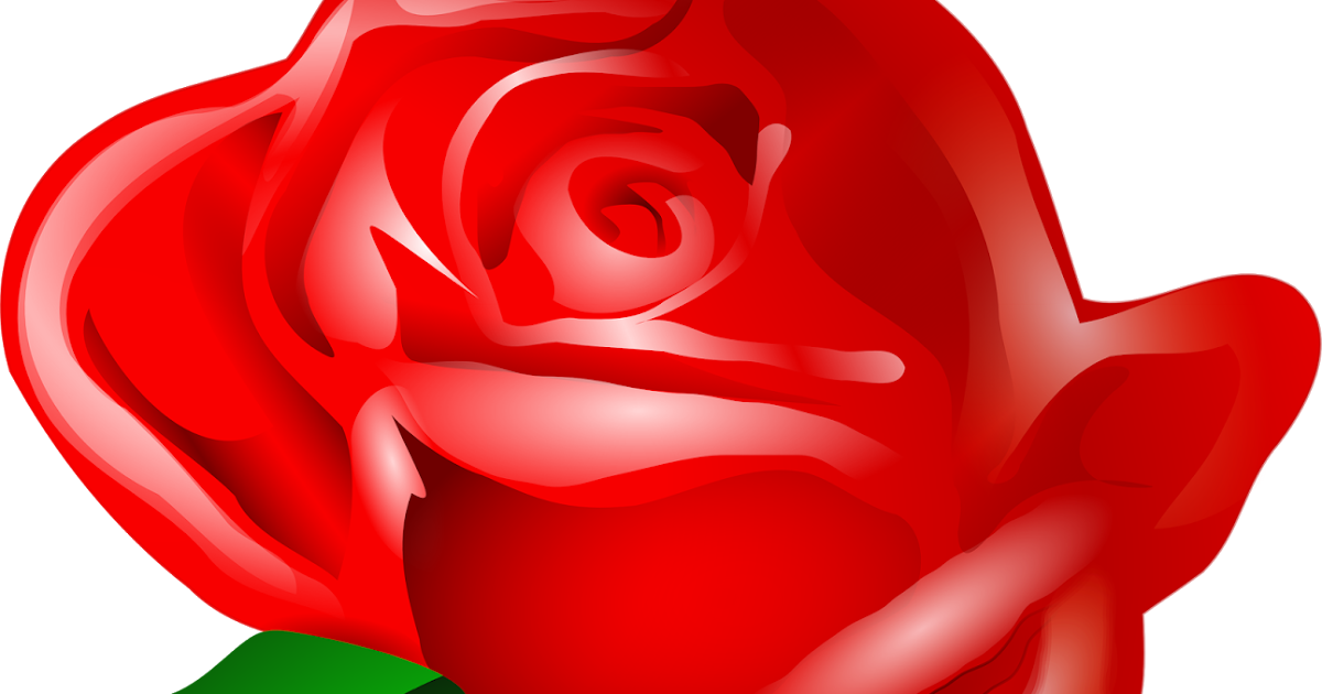 YNK Desain 3D : Tutorial Membuat Gambar 3D Bunga Mawar di ...