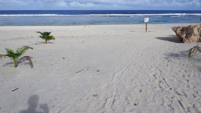 soft fine white sand at Jagnaya Yolanda Beach in Salcedo Eastern Samar
