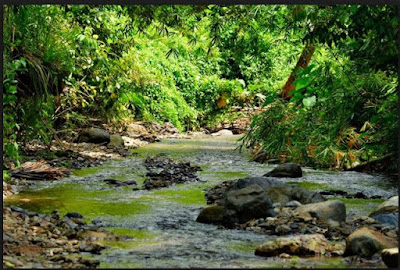 Taman Nasional Bogani Nani Wartabone gorontalo