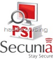 secunia PSI