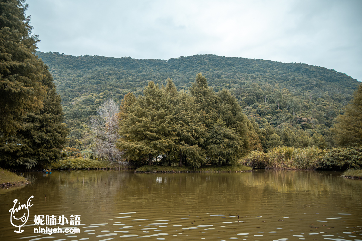 【花蓮住宿】葛莉絲莊園。詢問度超高此生必住的精品民宿