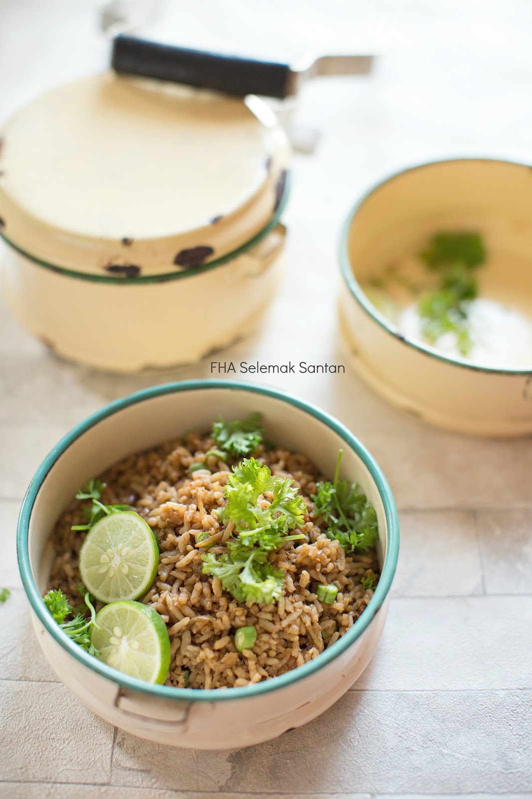 NASI GORENG KICAP SPECIAL  Terima Kasih Ikan Selangat 