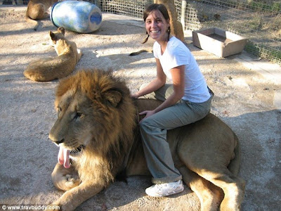 Pictures of Zoo Animals in Cages