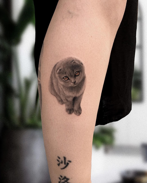 40 incríveis tatuagens de gatos para sua próxima inspiração!