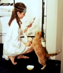 Orangey the cat with Audrey Hepburn in Breakfast at Tiffany's