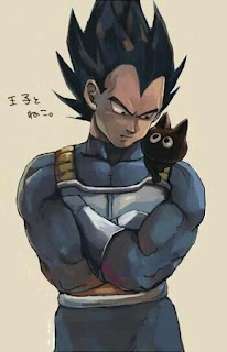 Read, Dragon ,Ball, Manga, English, Online, Free, Vegeta