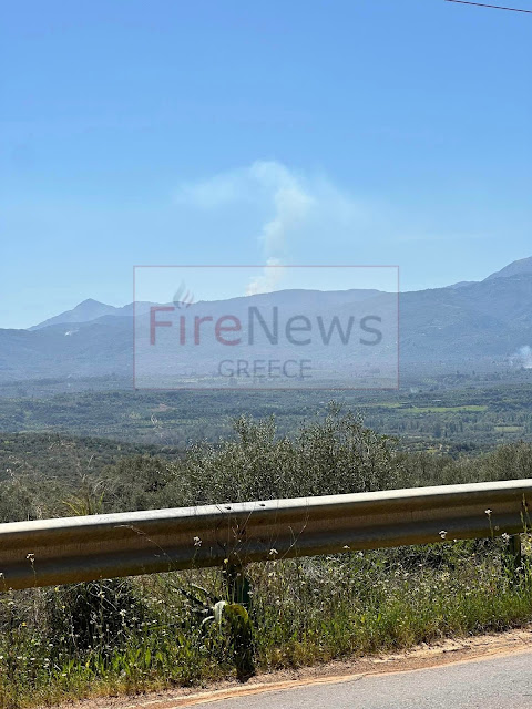 Σπάρτη: Φωτιά σε εξέλιξη στην Άρνα Άμεση κινητοποίηση της πυροσβεστικής