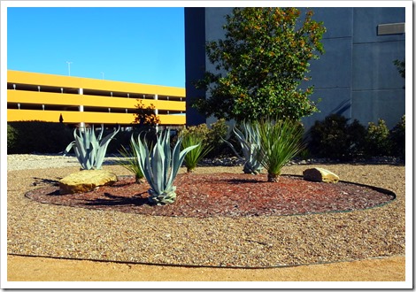 Kickapoo Casino