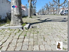 Bolg Gazeta de Espinho009 Livro MCS