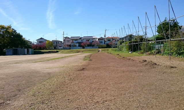 国府遺跡(藤井寺市)