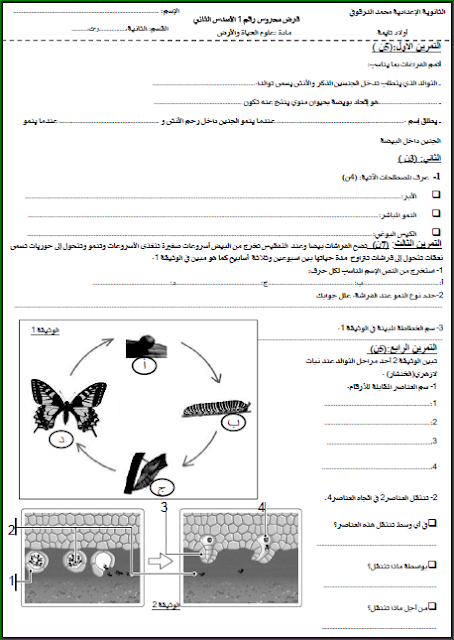 الثانية إعدادي:فرض محروس رقم 1 علوم الحياة و الأرض الدورة الثانية