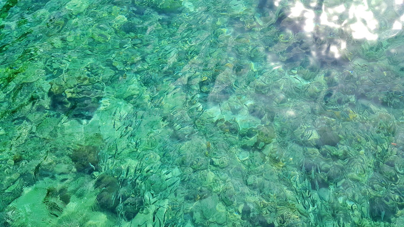 emerald green crystal clear waters at sunrise viewing area of Isla Jardin Del Mar Resort in Glan, Sarangani