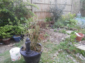 Diary of a permaculture (ish) garden, April 2019. From UK garden blogger secondhandsusie.blogspot.com #gardenblogger #ukpermaculture #suburbanpermaculture #wormcomposting #appleblossom #frontgardenraisedbed #frontgardenallotment