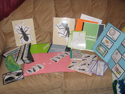 picture of many different visual aids used in some music therapy sessions including lyric puzzles, large ant pictures, several handbound books, and other file folder activities designed by the author,