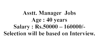 Asstt. Manager  Jobs in National Fertilizers Limited