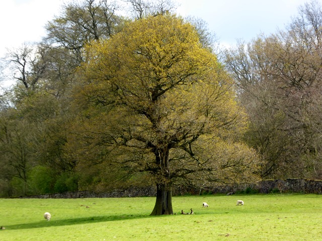 P1040756