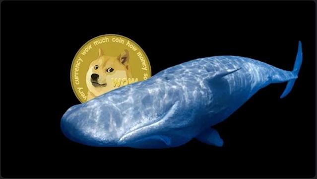 Dogecoin (DOGE) Lives On Top Of Whales’ Menu – Here’s Why