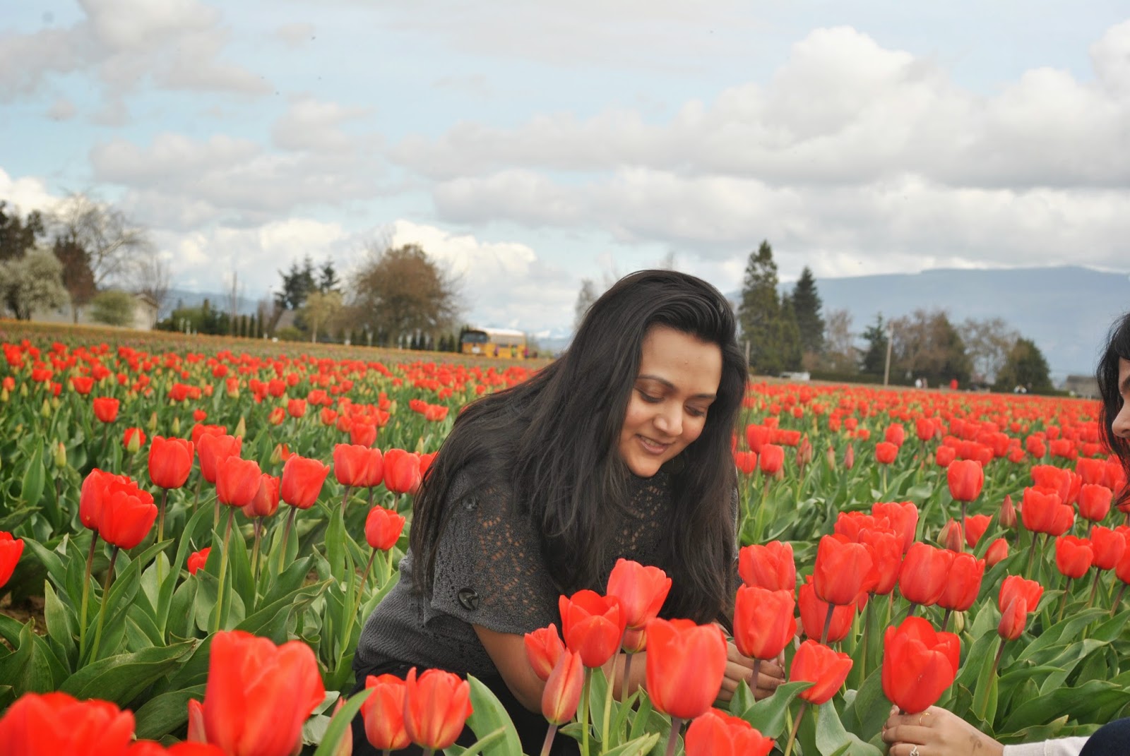 Tulip festival, tulip flowers, girl in a flower garden, Beautiful flowers and beautiful girl, Places to visit near Seattle, 