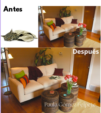 Imagen