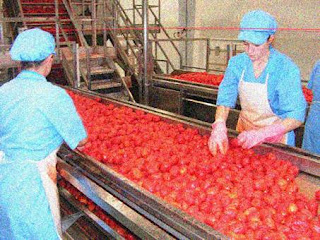 A Sorgatto Alimentos Ltda investirá cerca de R$  14 milhões em sua fábrica na cidade de Cristalina