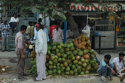 Green Coconuts in India