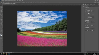 Cara Menyalin Warna dari Gambar di Photoshop