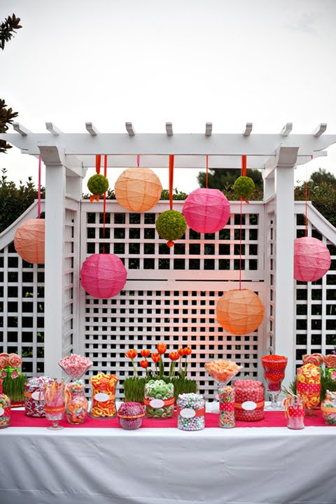 Pink paper lanterns and zebra print decor would go great with these awesome