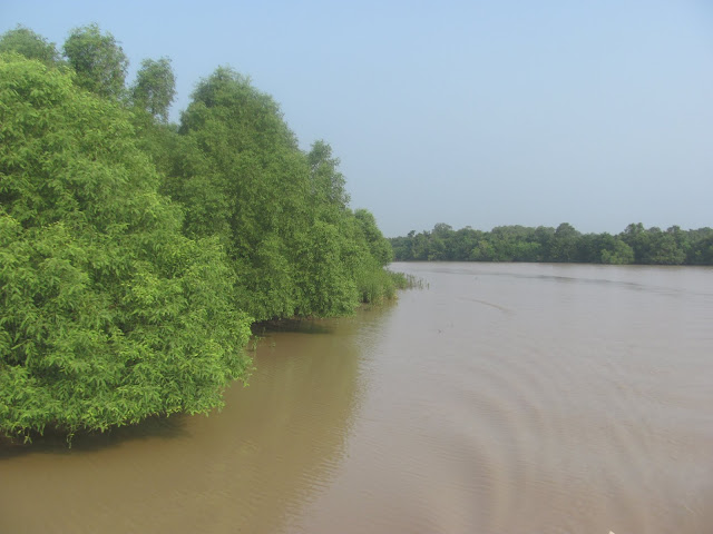 Creeks of Bhitarkanika