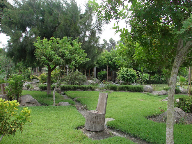 Shambala Santa Rita Caraqueño Pativilca Peru