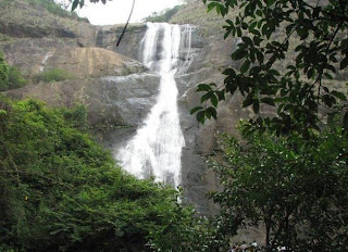 Palaruvi Falls