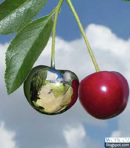 Chrome Cherie