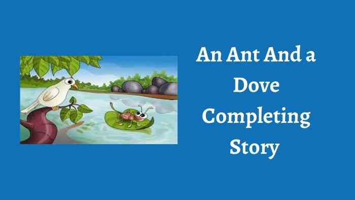 An Ant And a Dove Completing Story