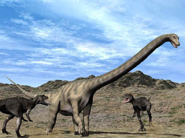 Seismosaurus BIOLOGIPEDIA