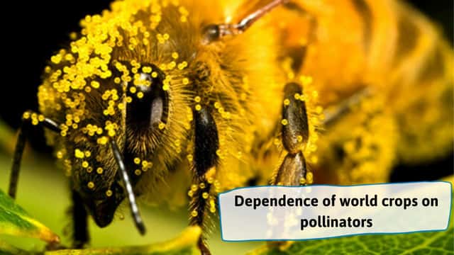 Dependence-of-world-crops-on-pollinators