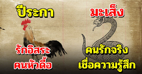 บอกตัวตนและนิสัยลึกๆ ทั้ง 12 ปีนักษัตร รู้ได้เลยว่าเป็นคนแบบไหน