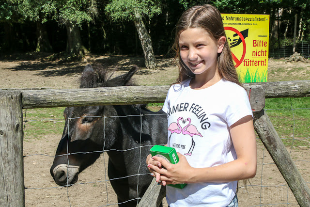 Hunsrück Wildpark Rheinböllen, Esel