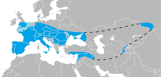 Карта, показывающая известный ареал неандертальцев