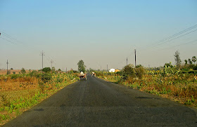 bullock carts on country roads in India